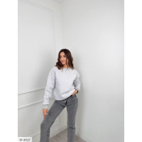 Батник IP-4917