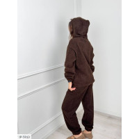 Прогулянковий костюм IP-5813