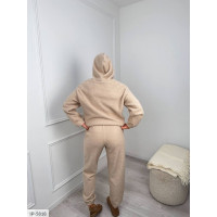 Прогулянковий костюм IP-5818