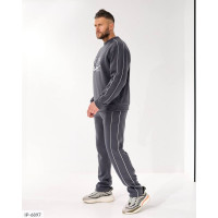 Чоловічий костюм IP-6897