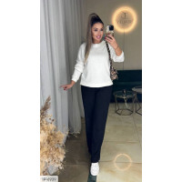 Прогулянковий костюм IP-6939