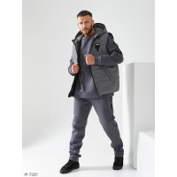 Чоловічий костюм IP-7225