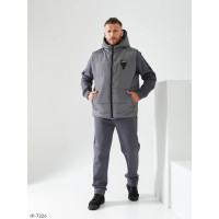 Чоловічий костюм IP-7226