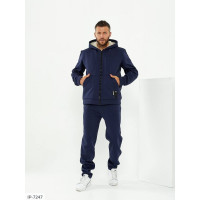 Чоловічий костюм IP-7247