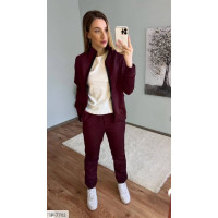 Прогулянковий костюм IP-7702