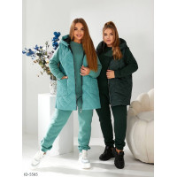 Прогулянковий костюм ID-5585