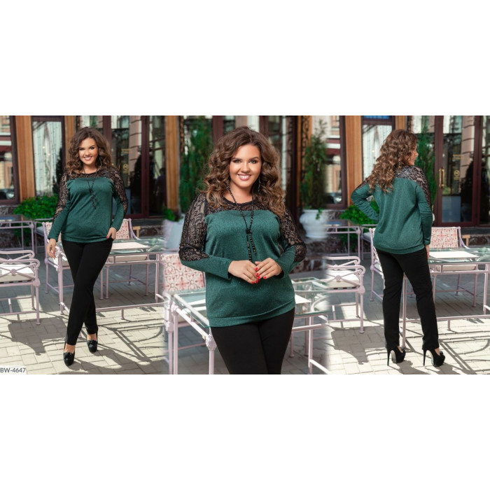 Костюми великого розміру BW-4647 — сучасна класика