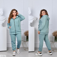 Прогулянковий костюм HY-4561