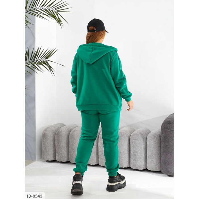 Модні прогулянкові костюми великого розміру IB-8543 — комфорт і стиль