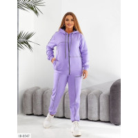 Прогулянковий костюм IB-8547