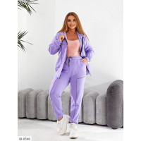 Прогулянковий костюм IB-8548