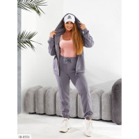 Прогулянковий костюм IB-8551