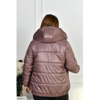 Куртка IF-4513