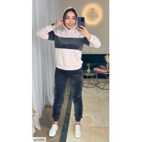 Прогулянковий костюм IK-9359