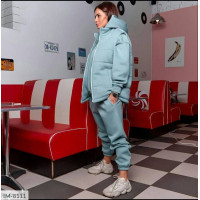 Прогулянковий костюм IM-8111