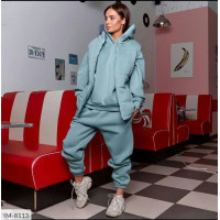 Прогулянковий костюм IM-8113