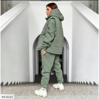 Прогулянковий костюм IM-8121