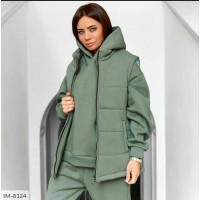 Прогулянковий костюм IM-8124