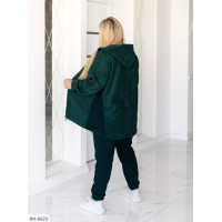 Прогулянковий костюм IM-8621