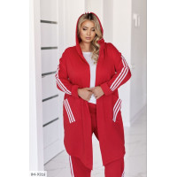 Прогулянковий костюм IM-9316