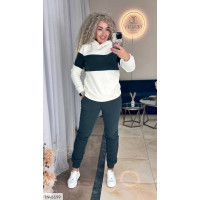 Спортивний костюм IN-6199