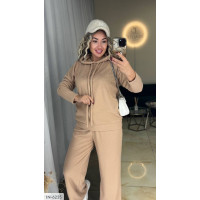 Прогулянковий костюм IN-6235