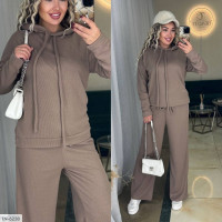 Прогулянковий костюм IN-6238