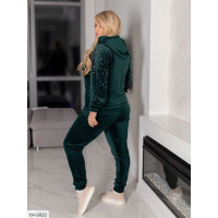 Прогулянковий костюм IN-6822