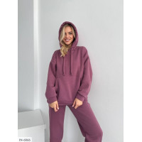 Спортивний костюм IN-6866