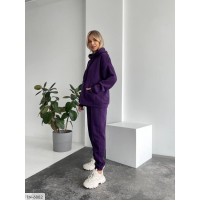 Спортивний костюм IN-6882