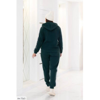 Спортивний костюм IN-7565
