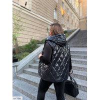 Прогулянковий костюм IN-7581