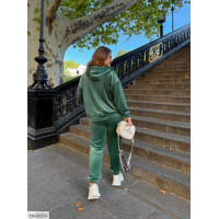 Спортивний костюм IN-8054