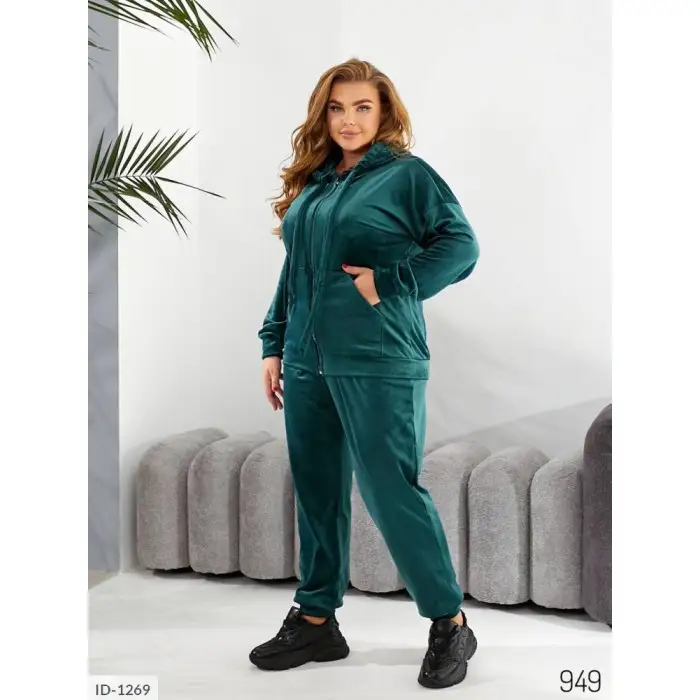 Купити Прогулянковий костюм ID-1269