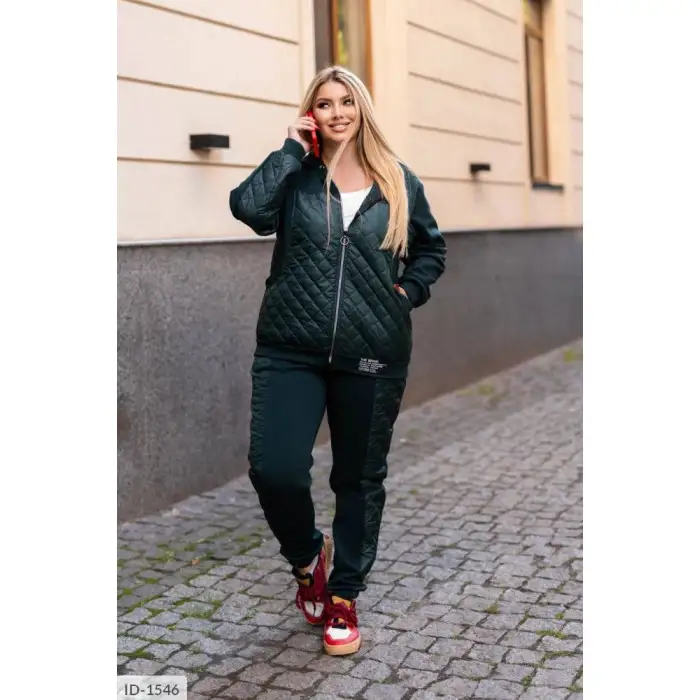 Купити Прогулянковий костюм ID-1546